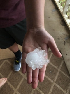 roof damage by hail of record size held in hand roof damage by hail of record size held in hand