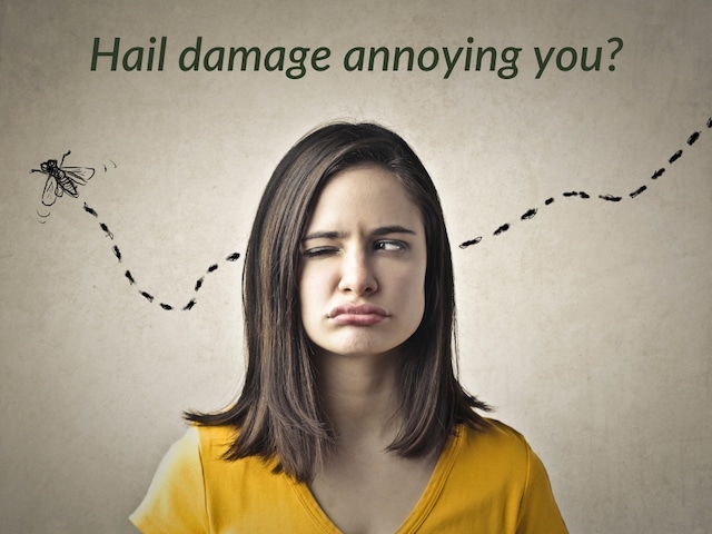 roof damage from hail can be annoying like a fly buzzing around your head roof damage from hail can be annoying like a fly buzzing around your head