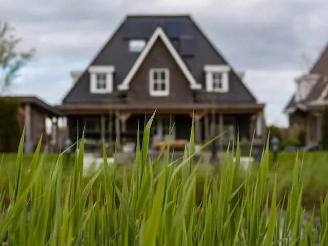 high grass in front of home