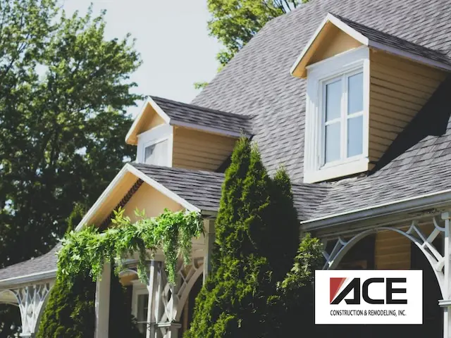trees in front of home